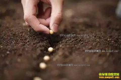 2017���ͥũ����������Щũҵ������