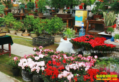 ������Ӫ���꣺�����г��̻��� ��Ӫ����Ҫ��ĥ