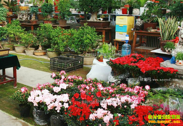 ������Ӫ���꣺�����г��̻��� ��Ӫ����Ҫ��ĥ