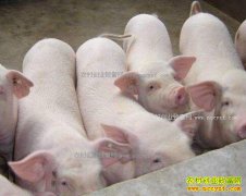 ���ۻ������Ԫ��δ�������۸�����Ԥ��