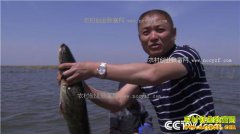 [�¸���]��������Դ����¥��̬������������Ƹ�