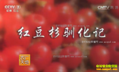 [ũ�����]�㽭����˽�ź춹ɼѱ����