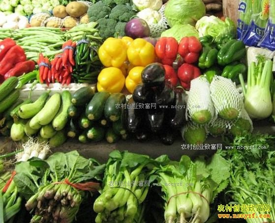 2017��4���߲˼۸�Ԥ�⣺�߲˼۸񱩵����»��������