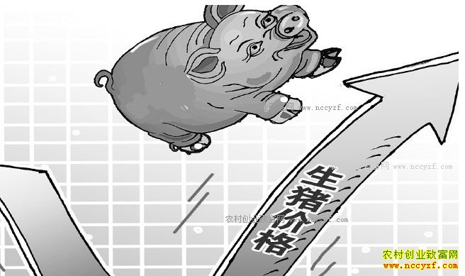 δ�������۸�Ԥ�⣺2017�������۸񽫳ʸ�λ΢������