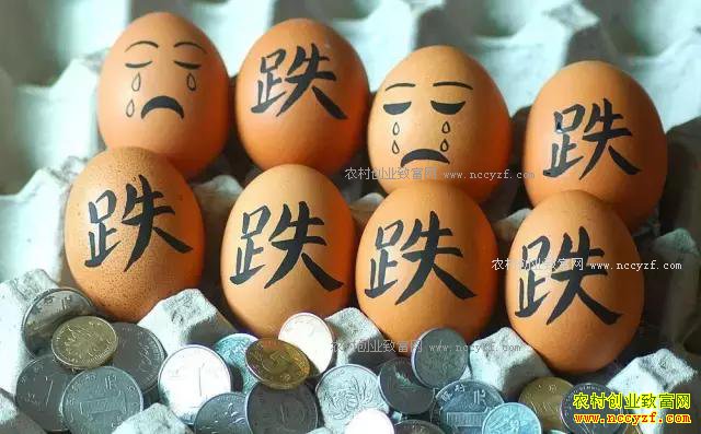 �����۸��ֵ��ˣ�2017��ʲôʱ�򵰼��������ǣ�