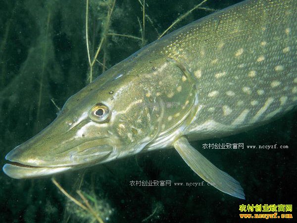 ɽ��۰����갺�ƽ��ֳ��ֳ�װ߹������ֵ����ǧ��