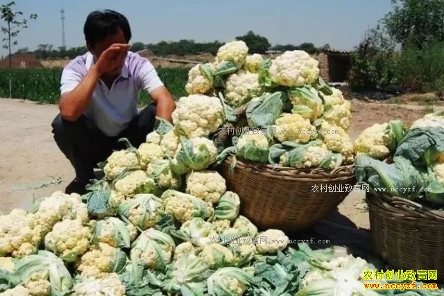 ũ��Ʒ��ô�����ü�Ǯ