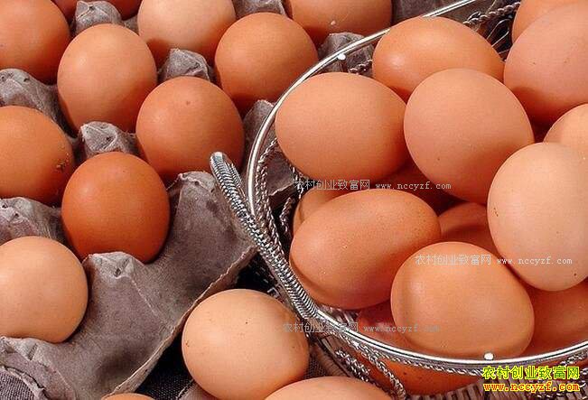 ���ռ�������Ǯһ�2017�����¼����۸�����Ԥ��