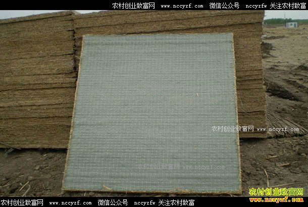 ɽ��ƽ���ظߺ���������մ���������10����