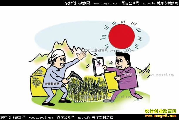 �����������ʲô�ô���ũ��רҵ����������ũ����Ǯ��