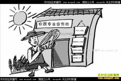 加入合作社有什么好处,农民专业合作社能让农民挣钱吗?
