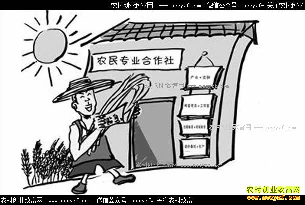 �����������ʲô�ô���ũ��רҵ����������ũ����Ǯ��