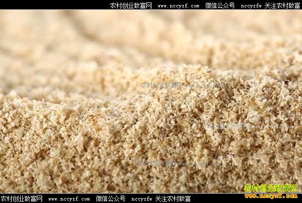 ��������۸�