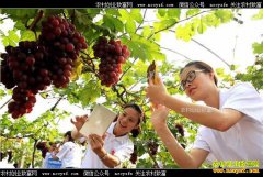 ������������·��΢�ſ�������������·