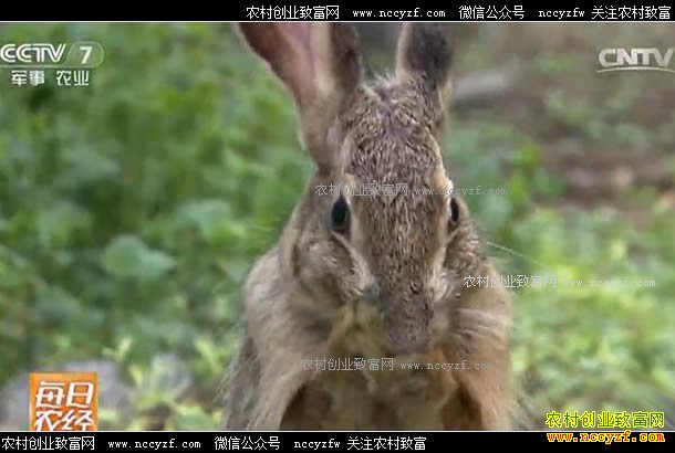 [ÿ��ũ��]������Ϫ��־ΰ��ֳ�ӽ�ɽҰ�ó�������