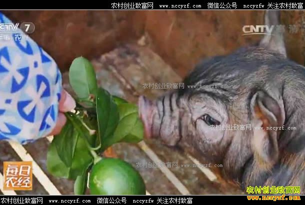 [ÿ��ũ��]�Ͳ���������������Ӯ��