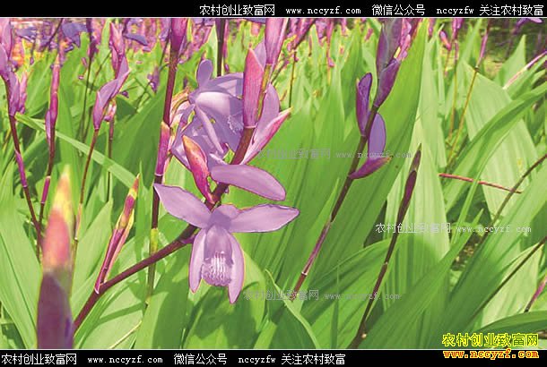 �Ĵ��ڽ����˹�������ܸ �Ƹ�������Ϣ