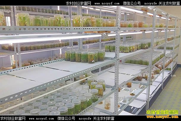 �Ĵ��ڽ����˹�������ܸ �Ƹ�������Ϣ