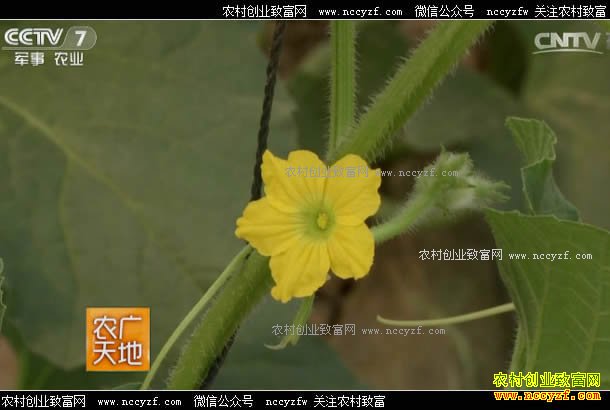 [ũ�����]����ӽ����� 20170508