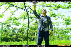 �Ĵ������׷�����Ұ����ֲ⨺���ÿ������35Ԫ