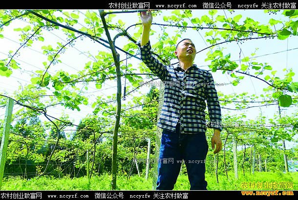 �Ĵ������׷�����Ұ����ֲ⨺���ÿ������35Ԫ