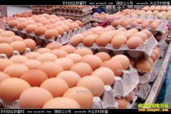 2017�꼦���۸�Ԥ�⣺7�·ݼ����۸���������