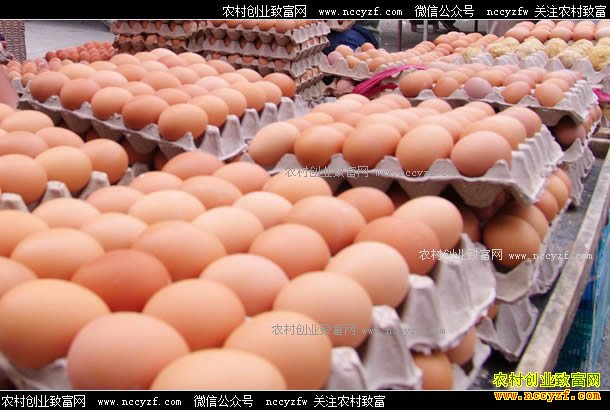 2017�꼦���۸�Ԥ�⣺7�·ݼ����۸���������