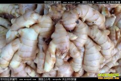 2017�������۸�Ԥ�⣺δ�������۸񲻿���