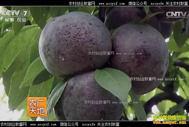 [ũ�����]�������� 20170515