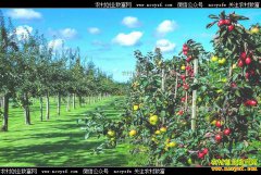 ��չ��ͥũ������ģ�����