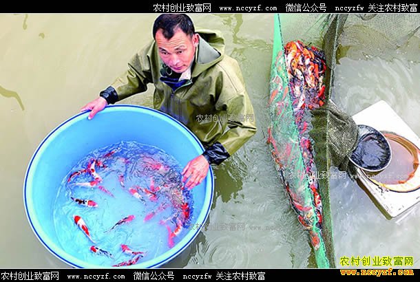 �㽭���ֳ�����ֳ�����㴴ҵ�¸�