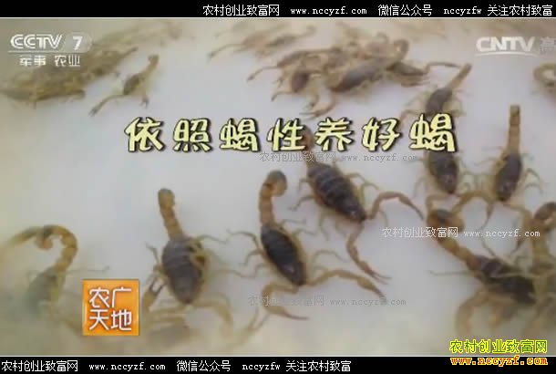 [ũ�����]����Ы������Ы 20170516