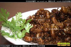 [�¸���]ɽ�������غ��Ӻʹ�Խʱ�յĽ����ֳ�Ƹ�