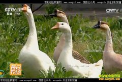 [ÿ��ũ��]ɽ�����磺��ֳ���Ӷ����˵������