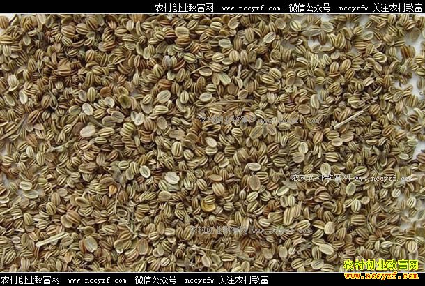 2017��5��22��ҩ���г��ߴ��Ӽ۸���������