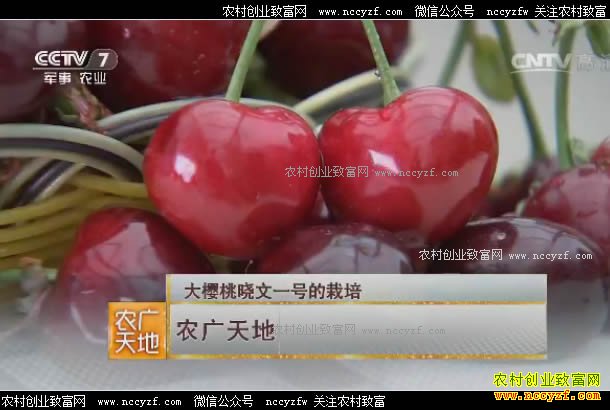 [ũ�����]ɽ�����ܵ�ΰ�����ӱ������׬Ǯ