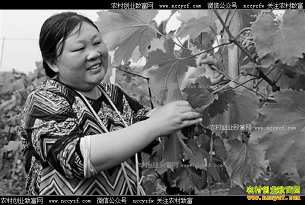 ������������������������Ч���