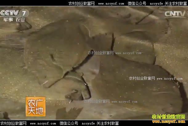 [ũ�����]����2����ֳ������Ƶ