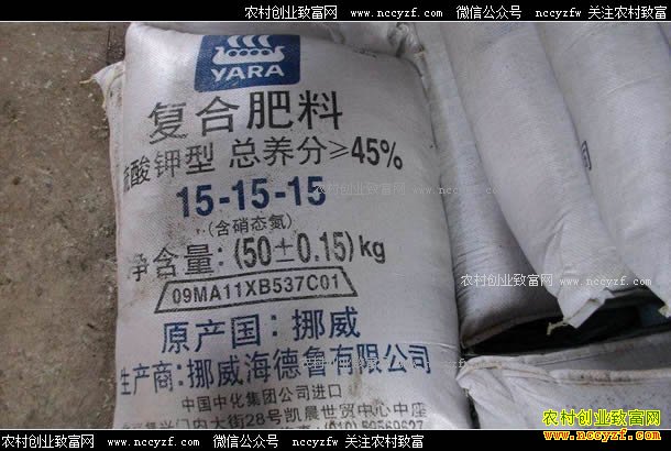 尿素价格小幅反弹 高氮肥什么时候涨价?