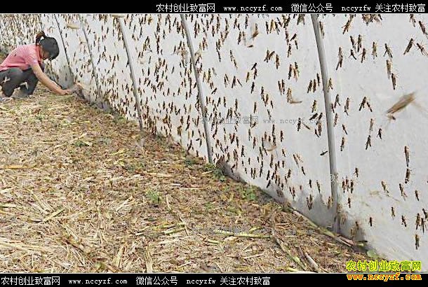 �Ĵ������س½�����������ơ��ġ�����Ƹ�