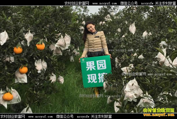 �Ĵ�����¬��΢������֪���������۶��60��Ԫ