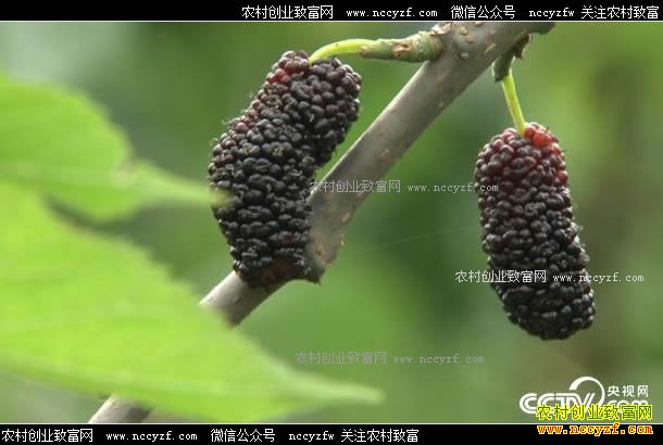 [�¸���]��������֣־���ӹ�ɣ�����ϴ�������Ƹ�