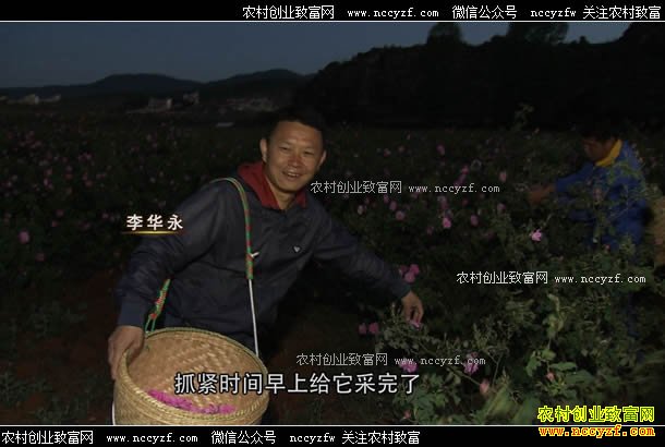 [�¸���]�����������������õ�� õ�徫������800��