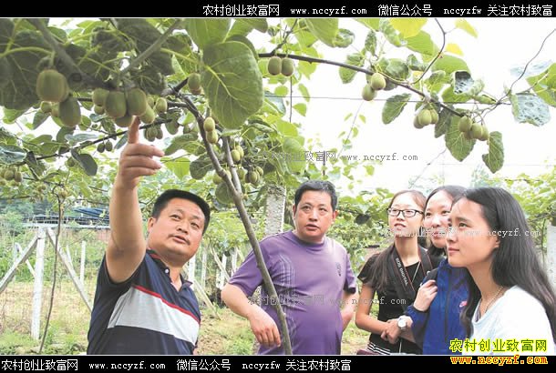 �Ĵ�������֣������ֲ⨺�������40��Ԫ