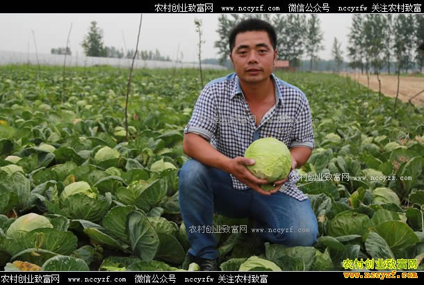 ������Ȫ������������10�����˼�Ѱ����