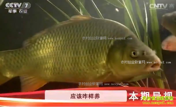 [�Ƽ�Է]�������еĳ������������2����ֳ����