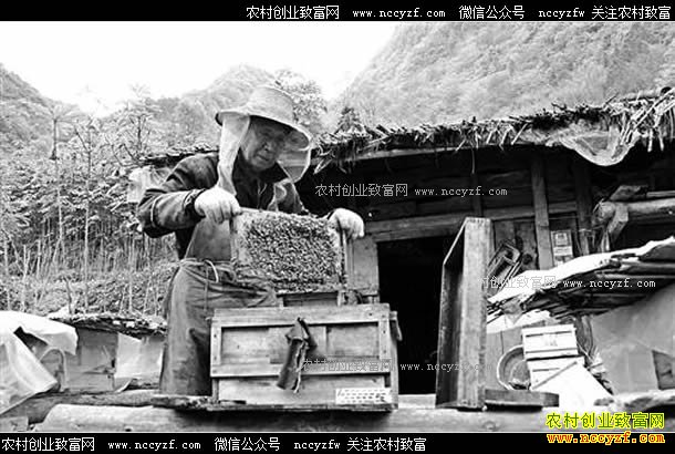 ���쿪�ݰ�Ѯ����̷Т�ҵ������¸���