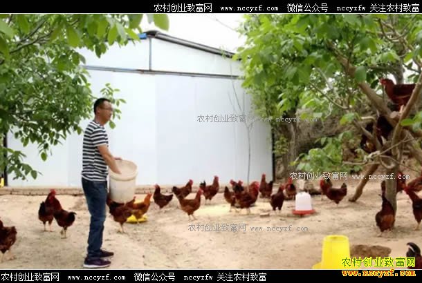 ��������м������������̬�������괿����8��Ԫ