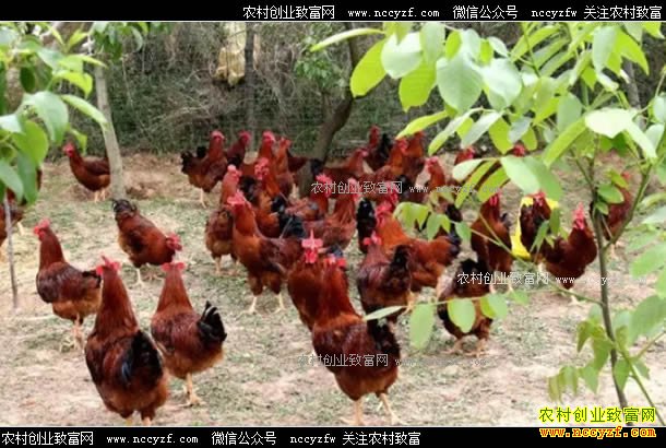 ��������м������������̬�������괿����8��Ԫ