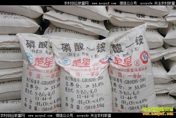 一铵价格行情预测:一铵淡季要涨价?